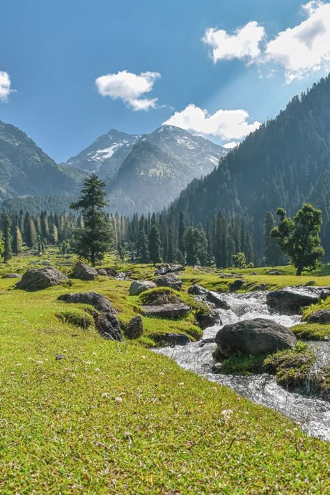 If Landscapes attracts you, then Kashmir Landscape is among the finest you will going to see in India.  You can catch more of these on my Instagram  #landscape #photography #travel #guide #kashmir #aru #valley #pahalgam #india #tourism Aru Valley Pahalgam, Nature Photography Mountains, Jamu Kashmir Photography, Aru Valley Kashmir, Kashmir India Beauty, Pahalgam Kashmir Photography, Indian Places To Visit, Kashmir Background, Srinagar Kashmir Photography