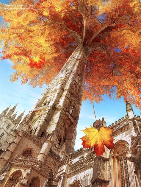 Autumn Tree, Fantasy Worlds, Fantasy City, Fantasy Setting, Fantasy Places, Art Et Illustration, Fantasy Art Landscapes, Arte Fantasy, Male Character