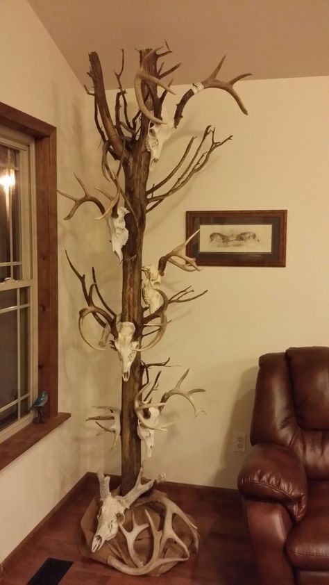 Deer Antler Decor Ideas, European Mount Ideas, Deer Antler Ideas, Deer Mount Decor, Deer Mount Ideas, Deer Hunting Decor, Deer Skull Mount, Deer Head Decor, Deer Antler Crafts