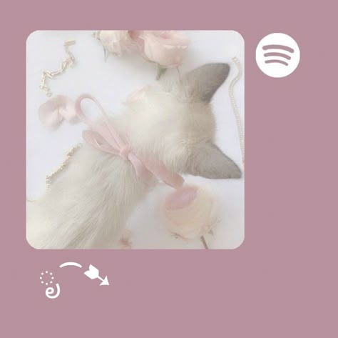 Widget Pink Aesthetic, Widget Coquette, Pink Jellyfish Wallpaper, Spotify Widget, Widget Pink, Pastel Pink Icons:), Pink Wallpaper Ipad, Cute Blue Wallpaper, Soft Pink Theme