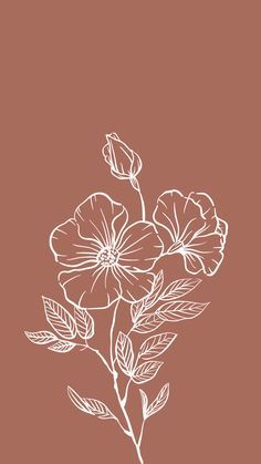 45 ⋆phone wallpapers⋆ ideas | aesthetic iphone wallpaper, iphone background wallpaper, minimalist wallpaper Orange Flowers Aesthetic, White Flower Wallpaper, Flower Graphic Design, Fish Sea, Boho Wallpaper, Bohemian Flowers, Star Fish, 수채화 그림, Backgrounds Phone Wallpapers