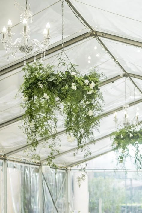 11 Stunning Greenery Wedding Ideas to Have a Budget Friendly Wedding---greenery chandeliers for greenhouse wedding Hanging Greenery Installation Wedding, Green Ceiling Wedding Hanging Flowers, Foliage Chandelier Wedding, Greenery From Chandelier Wedding, Hanging Flower Baskets Wedding, Hanging Arrangements Wedding, Foliage Ceiling Installation, Green Foliage Wedding Decor, Hanging Flower Installation Wedding