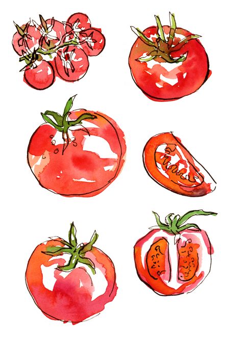 Random Watercolor Art, Tomato Painting Watercolors, Sharpie And Watercolor Art, Food Illustrations Watercolor, Watercolour Tomato, Tomato Doodle, Salad Sketch, Water Coloring Art, Watercolor Fruit Paintings