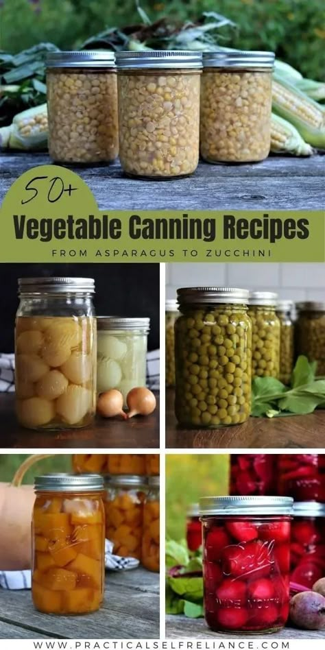 50+ Vegetable Canning Recipes: Canning Vegetables for Beginners - If you're looking for pressure canning recipes or water bath canning recipes, you'll love all of my favorite veggie canning recipes from water bath canning asparagus to water bath canning zucchini. Plus learn all about pressure canning vegetables! pressure canning for beginners | water bath canning for beginners | canning veggies from garden | pickling and canning | pressure canning tomatoes | vegetable canning ideas Canned Vegetable Recipes, Vegetable Canning, Can Vegetables, Canned Veggies, Delicious Green Beans, Canning For Beginners, Water Bath Canning Recipes, Easy Canning, Canning Sweet Potatoes