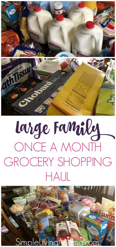 Once A Month Grocery Shopping, Monthly Grocery List, Family Grocery List, Large Family Organization, Costco Shopping List, Budget Grocery, Cheap Groceries, Bulk Shopping, Costco Shopping