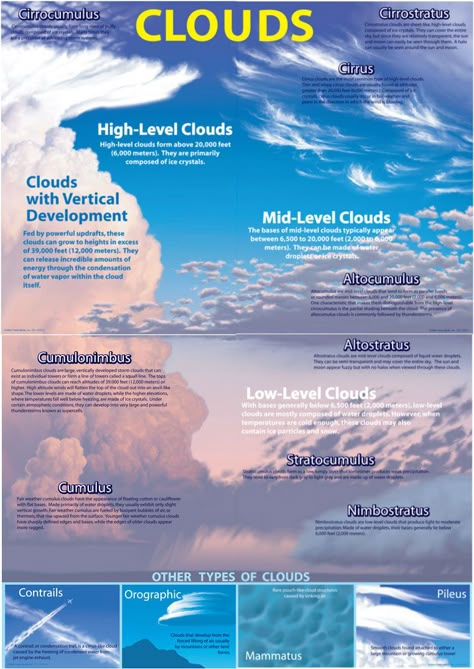 Types of Clouds Types Of Clouds, Science Bulletin Boards, Cloud Type, Weather Science, Clouds In The Sky, Earth And Space Science, Bulletin Board Sets, Weather And Climate, Meteorology