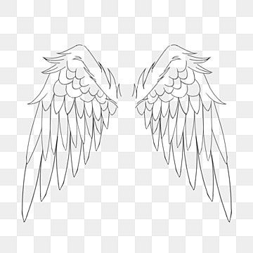 Angles Wings Drawing, Angel Wings Transparent Background, Angle Drawing Reference Wings, Wings Angel Drawing, Angel Wings Drawing Easy, Angel Wings Drawing Simple, Angel Wings Drawing Reference, Angel Wings Sketch, Angel Wing Outline