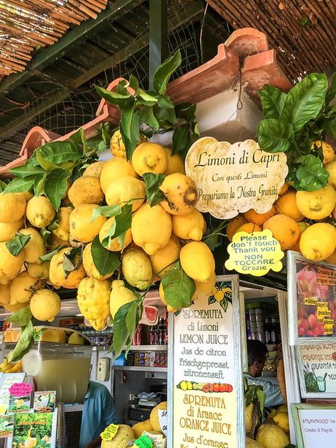 Capri | Capri Town | Mooshie2012 | Flickr Gardens Of Augustus Capri, Naples Capri Italy, Capri Italy Photo Ideas, Capri Core, Capri Honeymoon, Capri Italy Photography, Capri Italy Aesthetic, Capri Photography, Capri Aesthetic