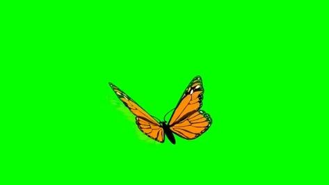 Butterfly Flying On Green Screen 6 #AD ,#Flying#Butterfly#Green#Screen Butterfly Green Screen, Butterfly Png Video, Green Screen Butterfly, Butterfly Green Background, Green Screen Birds Flying Video, Butterflies Videos Flying, Green Screen Butterfly Video, Green Screen Photo, Green Screen Footage