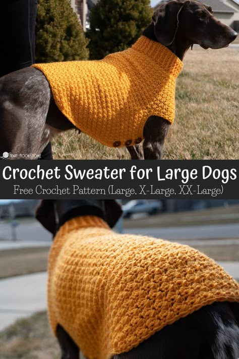 Dog Sweater Crochet Pattern Medium, Crochet Dog Sweater For Large Dogs, Dandy Dog Sweater Crochet, Crochet Extra Large Dog Sweater Free Pattern, Free Pattern Crochet Dog Sweater, Free Crochet Dog Coat Pattern, Big Dog Clothes Patterns, Crochet Dog Sweater Measurements, Crochet Big Dog Sweater Free Pattern