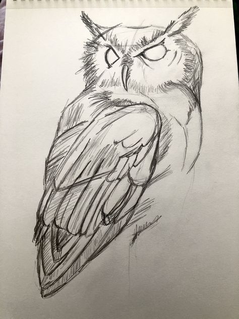 Animal Tattoo Ideas, Pencil Drawings Of Animals, Bird Sketch, Animal Drawings Sketches, Owls Drawing, Art Activity, Easy Drawings Sketches, Arte Inspo, Pencil Art Drawings