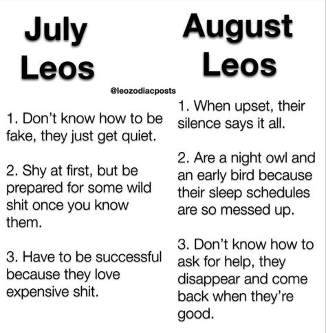 Funny Leo Zodiac, Leo Matches Zodiac Signs, Leo Facts Zodiac, Zodiac Facts Leo, Leo Zodiac Username Ideas, Facts About Leo Zodiac, Leo Horoscope Art, Leo Turn Ons, Leo Memes Zodiac Sign