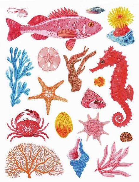 Sea Creatures Art, Sea Illustration, Molluscs, Coral Art, Gouache Illustrations, 22 December, Fish Drawings, Sea Theme, Sea Art