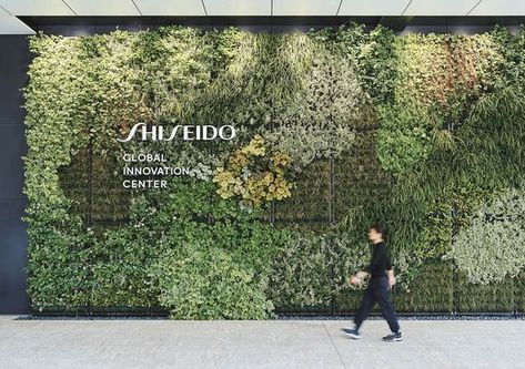 Green Walls Plants, Office Green Wall, Vertical Green Wall, Green Facade, Wall Signage, Green Office, Green Architecture, Wall Garden, Environmental Graphics