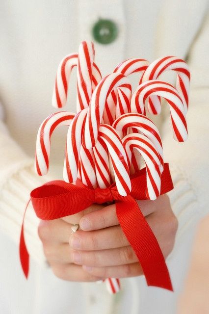 Christmas Wedding Bouquets, Peppermint Christmas, Red White Christmas, Candy Cane Christmas, Fabulous Christmas, Candy Bouquet, Christmas Style, Colorful Candy, Noel Christmas