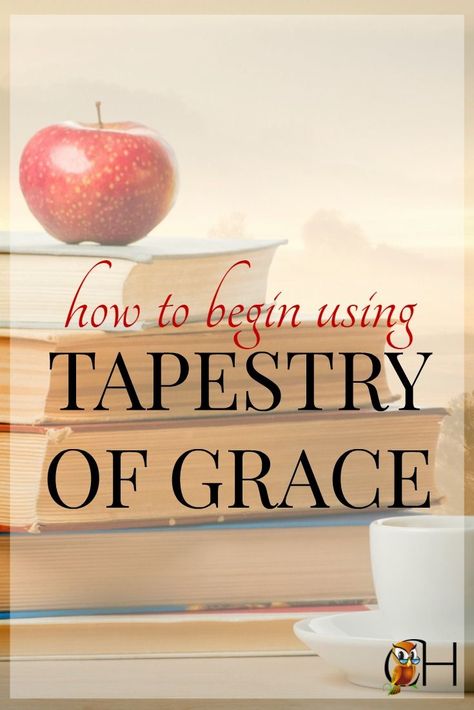 Conquer the fog! Begin using Tapestry of Grace | How to schedule TOG | Help starting TOG Homeschool Elementary Science, Homeschool Middle School Curriculum, Homeschool Phonics, Homeschool High School Curriculum, Tapestry Of Grace, Classical Homeschool, School Planning, Kindergarten Homeschool Curriculum, Homeschool Middle School