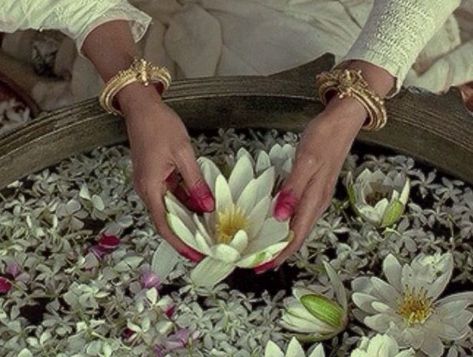 Dratini Pokemon, Mira Nair, South Asian Aesthetic, Desi Love, Vintage Bollywood, Indian Aesthetic, Brown Girl, South Asia, Water Lilies