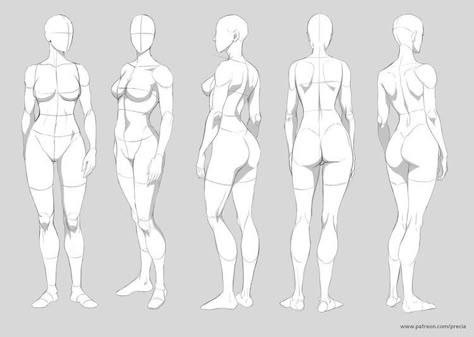 Figure Drawing Female, Male Figure Drawing, Drawing Female Body, Body Sketches, Images Kawaii, Human Figure Drawing, Anatomy Sketches, Female Anatomy, Poses References