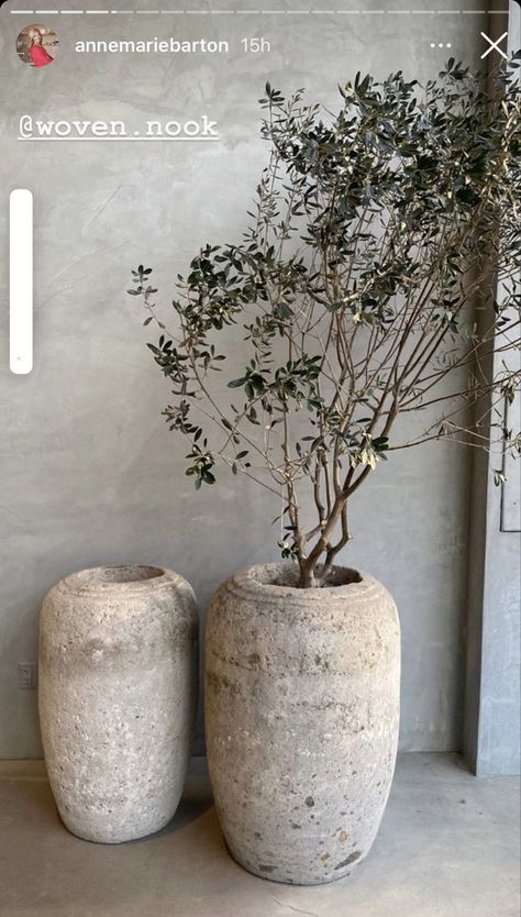 Wasabi Decor, Japandi Balcony, Japandi Vase, Home Interior Design 2023, Modern Indoor Plants, Indoor Plants Decor Ideas, 2023 Home Interior, Outdoor Vase, Stone Vases