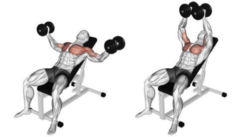 Incline Chest Fly, Incline Dumbbell Fly, Dumbell Chest Fly, Dumbbell Chest Fly, Chest Fly Dumbbell, Flat Dumbbell Fly, Incline Dumbbell Press, Chest Workout For Mass, Chest Routine