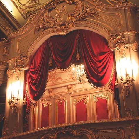 Ray's office wing in the castle Great Comet Of 1812, The Great Comet, Gryffindor Aesthetic, A Night At The Opera, Phantom Of The Opera, Home Theater, Opera House, Theater, Palace