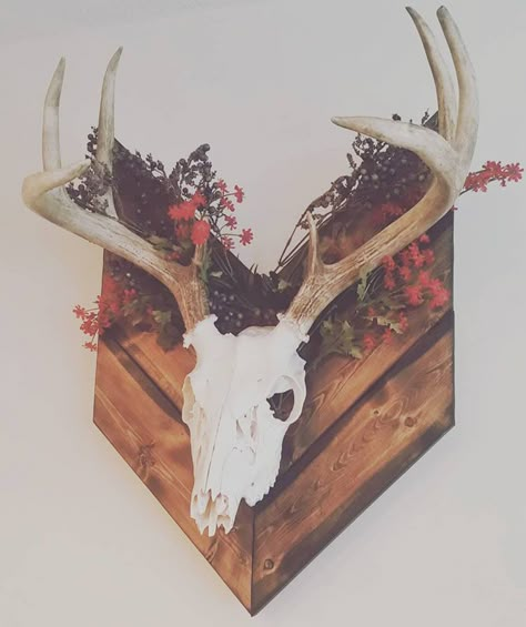 12 European Mount Ideas for Your Home - Beautiful Dawn Designs European Mount Ideas, Deer Mount Decor, Dear Antlers, Deer Mount Ideas, European Mounts, Deer Skull Mount, Antler Ideas, Antler Mount, Deer Antler Decor