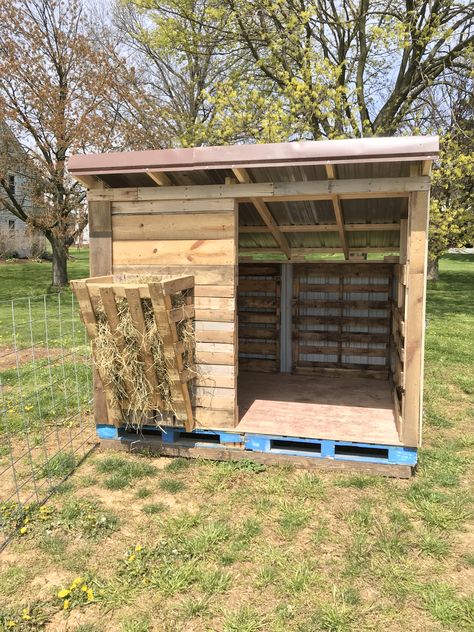 Pallet Pens For Goats, Animal Shed Ideas, Cow Pens Ideas, Cheap Hay Storage Ideas, Goat Hut Ideas, Goats House Ideas, Mini Goat Shelter, Small Goat Pen, 4h Lamb Projects