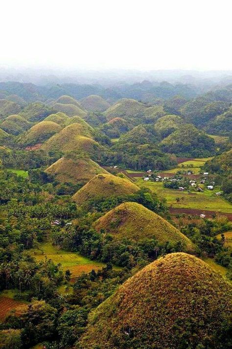 The Chocolate Hills in Carmen, Bohol. www.ancient-origins.net  https://www.facebook.com/ancientoriginsweb/photos/a.595116573862624.1073741825.530869733620642/1811237538917182/?type=3 Foto Scale, Philippines Vacation, Chocolate Hills, Visit Philippines, Bohol Philippines, Bohol, Philippines Travel, Tourist Spots, Asia Travel