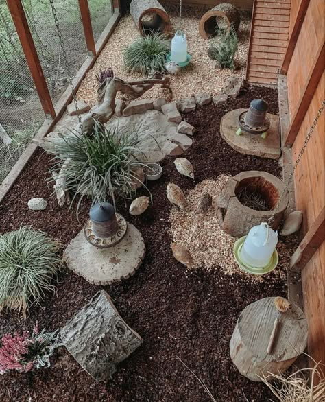 Quail Pens On The Ground, Quail Coops Ideas, Plants For Quail Pen, Quail Hideout, Outdoor Quail Enclosure, Cute Quail Coop, Quail Set Up, Quail Habitat Diy, Quail Coop Ideas Diy Outdoor