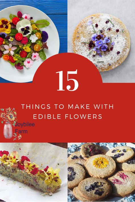 Use edible flowers 15 ways to raise your cooking to gourmet levels and take advantage of the increased antioxidants and nutrition flowers bring. Medical Garden, Cranberry Orange Relish, Flowers Feed, Mead Recipe, Homesteading Tips, Cooking With Herbs, Edible Flowers Recipes, Herbal Academy, Charlotte Mason Homeschool