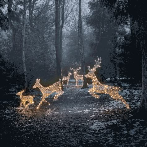 Reindeer Figure, Christmas Outdoors, Stag And Doe, Dark Christmas, Christmas Yard, Christmas Garden, Christmas Outdoor, Winter Wallpaper, Outdoor Christmas Lights