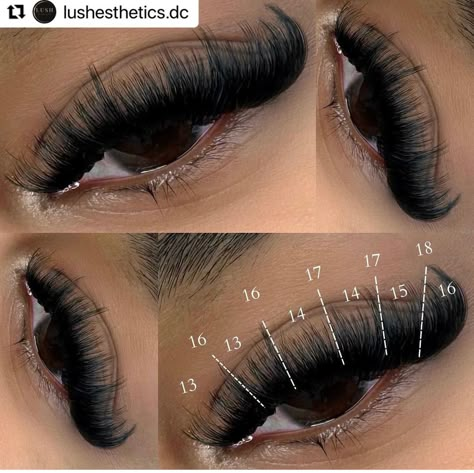 Color Lash Mapping, Natural Fake Eyelashes, Lash Maps, Lash Map, Lash Ideas, Best Lash Extensions, Lashes Tutorial, Lashes Fake Eyelashes, Lash Mapping