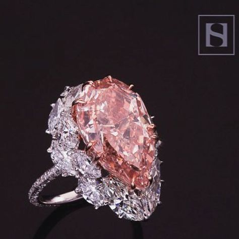 SAMER HALIMEH NEW YORK Pink Gold Rings, Pink Diamond Ring, Pink Diamonds, Large Stone, Pink Sparkle, Bling Rings, Classic Jewelry, I Love Jewelry, Precious Gems