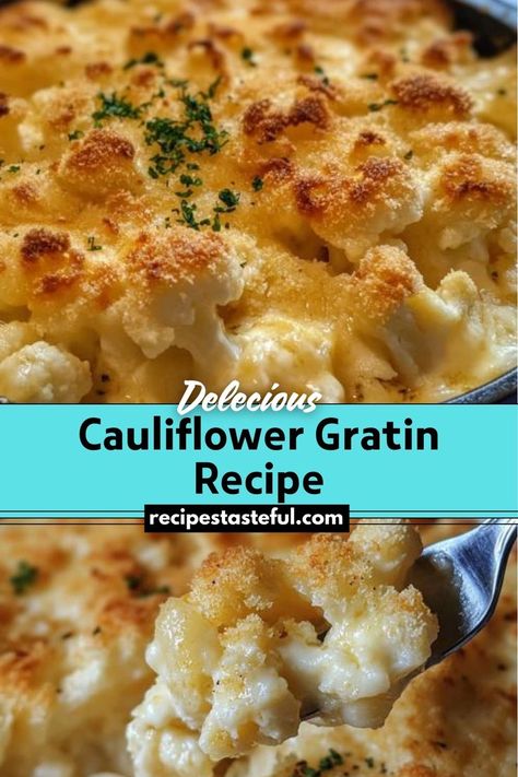 Cauliflower Gratin is a creamy, cheesy side dish that transforms cauliflower into a comforting and flavorful delight. Topped with a golden cheese crust and optional crunchy breadcrumbs, it’s perfect for both everyday meals and special occasions. Cauliflower Gratin Recipe, Cauliflower Gratin, Festive Appetizers, Cheese Crust, Christmas Recipes Easy, Dish Warmer, Gratin Dish, Cheesy Sauce, Christmas Food Dinner