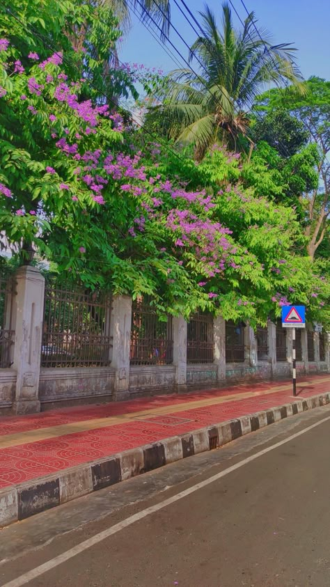 Nature Of Bangladesh, Beauty Of Bangladesh, Bangladesh Scenery, Bangladesh Village Photography, Road Side View, Bangladeshi Aesthetic, Bangladesh Aesthetic, Bangladesh Art, Side Wallpaper