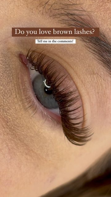 Lash Highlights, Brown Eye Lashes Extensions, Blonde Lash Extensions, Brown Eyelash Extensions Natural, Brown Eyelashes Extensions, Half Set Lash Extensions, Wispy Brown Eyelash Extensions, Brown Hybrid Lash Extensions, Brown Wispy Lash Extensions