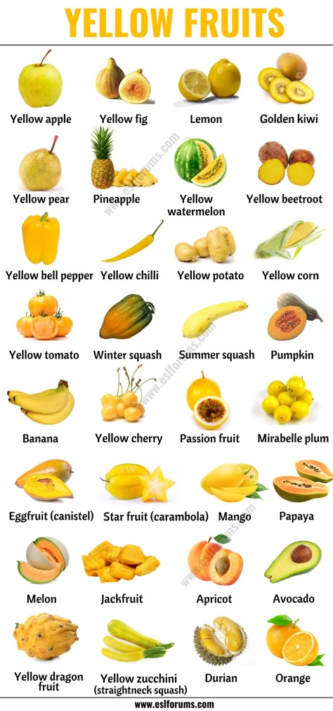 Yellow Fruits: List of 30+ Yellow Fruits & Vegetables with ESL Picture! - ESL Forums Type Of Vegetables, Yellow Fruit And Vegetables, Vegetable List With Pictures, Pictures Of Fruits And Vegetables, Yellow Fruits And Vegetables, Pictures Of Vegetables, Type Of Fruits, Unusual Vegetables, Fruits And Vegetables Names