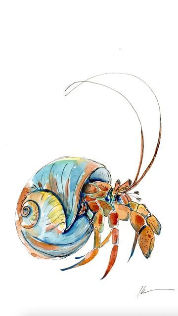 Watercolor Hermit Crab, Watercolour Sea Creatures, Watercolour Crab, Hermit Crab Drawing, Hermit Crab Art, Sea Animal Drawings, Sea Animal Drawing, Crustaceans Art, Watercolor Art Animals