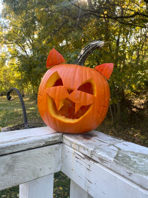 pumpkin carving of cat Pumpkin Carving Moo Deng, Jack O Lantern Inspiration, Scary Cat Pumpkin Carving, Jack O Latern Idea, Cat Jackolantern Faces, Cat Pumkins Ideas Carving, Cat Pumpkins Carvings, Pumpkin Carving Ideas Cat Easy, Pumpkin Cat Carving Ideas