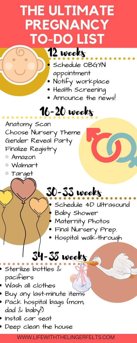 Baby Timeline, Sofia Grace, Pregnancy Timeline, Pregnancy Snacks, First Time Pregnancy, Pregnancy Checklist, Pregnancy Hacks, Baby Life Hacks, Baby Checklist