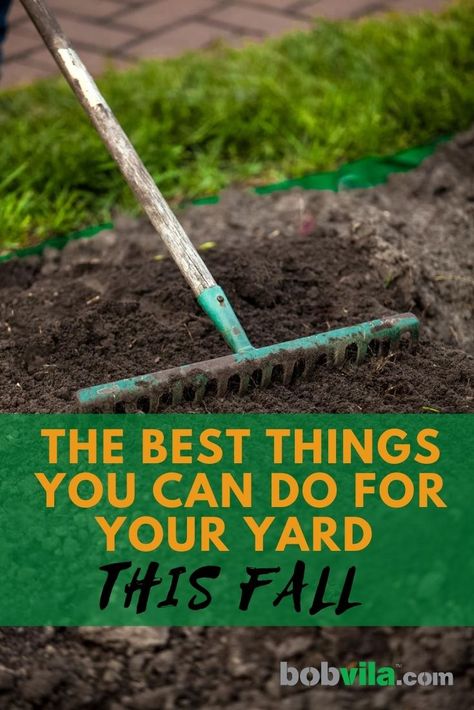 Fall Yard Prep, Fall Yard Maintenance, Fall Yard Clean Up, Rock Garden Ideas Front Yard, Fall Yard Ideas, Fall Yard Work, Garden Ideas Front Yard, Front Yard Trees, Front Yard Flower Bed