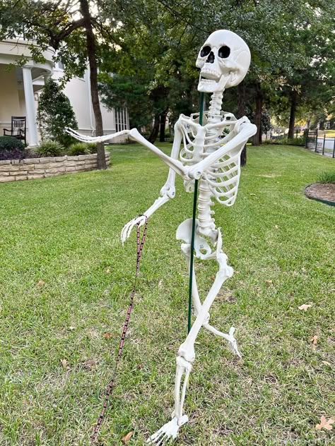 Halloween Front Yard Skeletons, How To Decorate A Skeleton For Halloween, Skeleton Bones Halloween Decorations, Ideas For Skeleton Decorations, Best Skeleton Displays, Decorating Yard With Skeletons, Skeleton In Front Yard, How To Prop Up A Skeleton, Skeleton Stand Diy