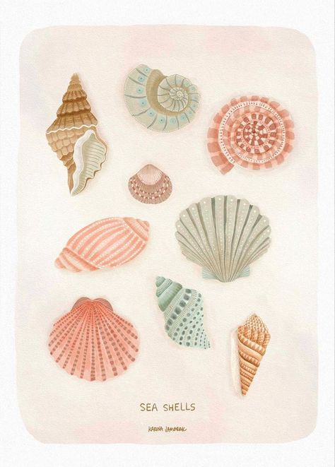 Shell Drawing, Painted Shells, Boho Deco, Summer Wallpaper, Artist Canvas, Paper Print, Framed Canvas Prints, Wall Collage, Art Reproductions