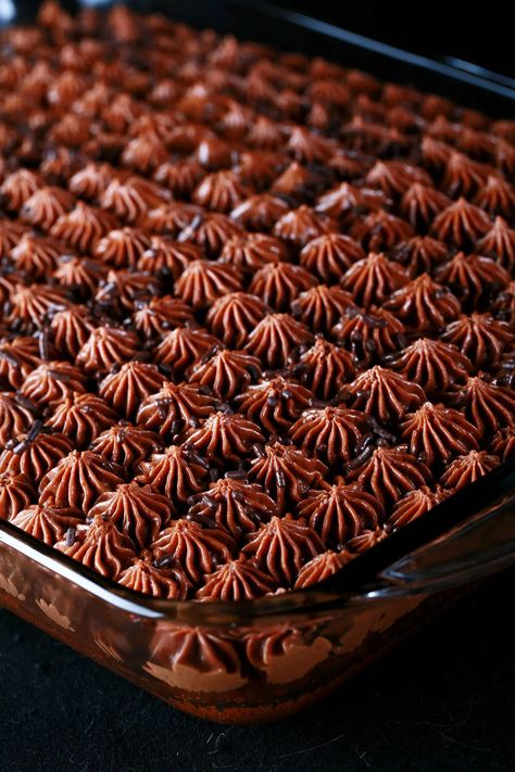 Copycat Deep'N Delicious Cake: A pan of chocolate cake, with creamy chocolate stars piped all over it, topped with chocolate sprinkles. Deep And Delicious Cake, Delicious Cake Ideas, Freezer Cake, Cake Celebration, Chocolate Stars, Silk Pie, Cold Cake, Canadian Food, Chocolate Sprinkles