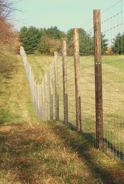 Large Yard Landscaping, Deer Fencing, Agricultural Fencing, Livestock Fence, Deer Farm, Deer Fence, Fence Installation, Horse Fencing, Hillside House