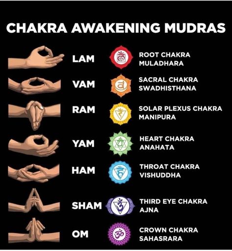 Chakra Awakening, Chakra For Beginners, Chakras Mudras, 50 Tattoo, Chakra Healing Meditation, Yoga Facts, Chakra Health, Chakra Affirmations, Healing Yoga