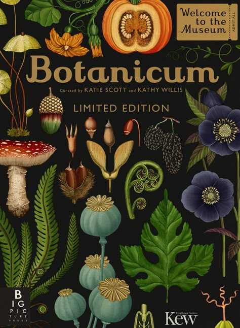 Katie Scott turns science into fantasy with her modern take on anatomical illustration — Freunde von Freunden Katie Scott, Illustration Botanique, Scientific Illustration, Kew Gardens, Plants And Flowers, Botanical Drawings, Purple Aesthetic, Botanical Illustration, Botany