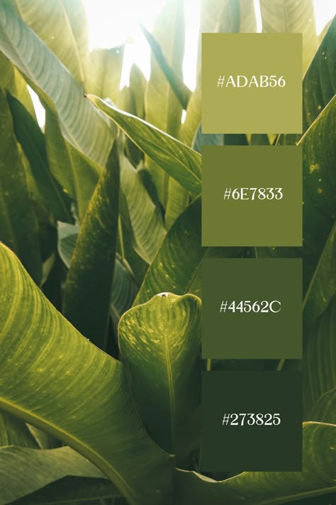 This Shades of Green Color Palette  captures the lush, vibrant shades of green in large tropical leaves, showcasing the diversity of greens from deep to light tones. Light Green Color Pallete, Shades Of Green Color Palette, Color Pallete Green, Color Palette Greens, Tropical Color Palette, Color Scheme Generator, Green Color Combination, Color Knowledge, Green Color Combinations