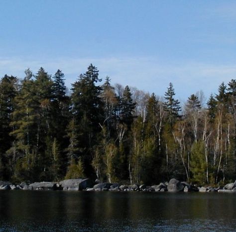 Tips for fishing on East Grand Lake (Maine) for landlocked salmon, with spoons or flies. Maine Fishing, Logging Industry, Grand Lake, Fish Finder, Salmon Fishing, Open Water, Fishing Trip, Maine House, My Cat