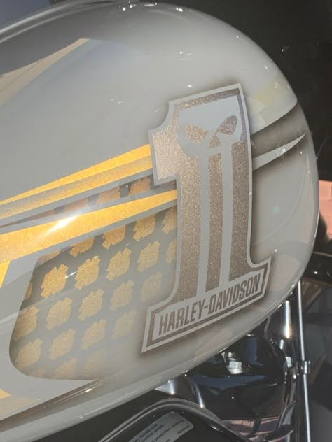 Harley Paint Jobs, Motorcycle Paint, Motorcycle Paint Jobs Color Schemes, Road King Harley, Harley Davidson Helmets, Custom Motorcycle Paint Jobs, Bike Tank, White Motorcycle, Leopard Painting